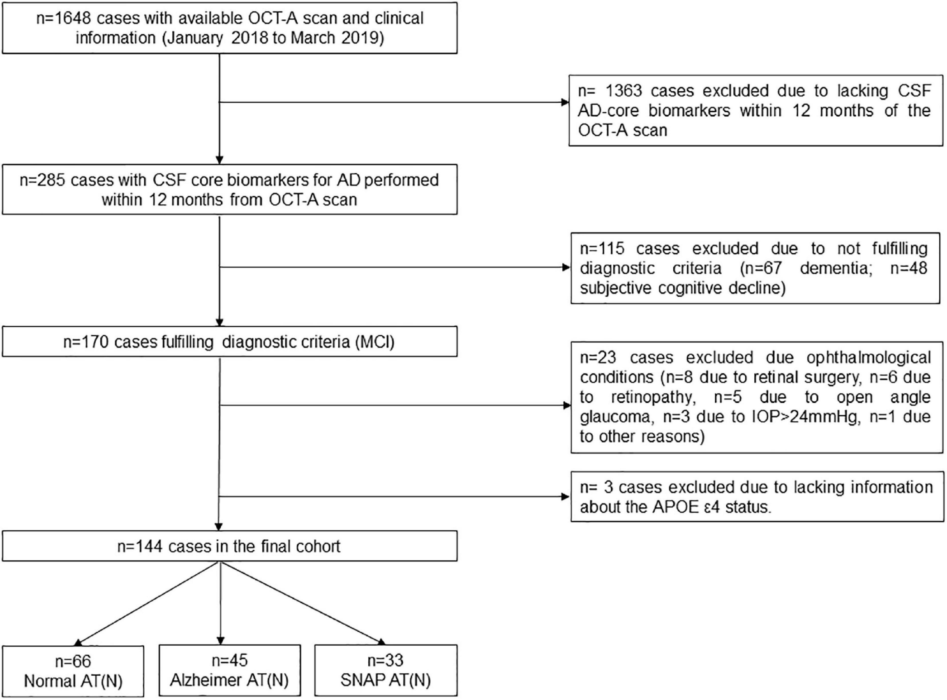 Macular vessel density in the superficial plexus is not associated to cerebrospinal fluid core biomarkers for Alzheimer’s disease in individuals with mild cognitive impairment: The NORFACE cohort